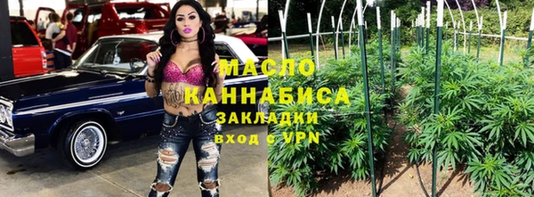 дмт Богородск